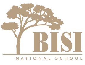 BISI National School logo