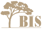 BISI National School logo