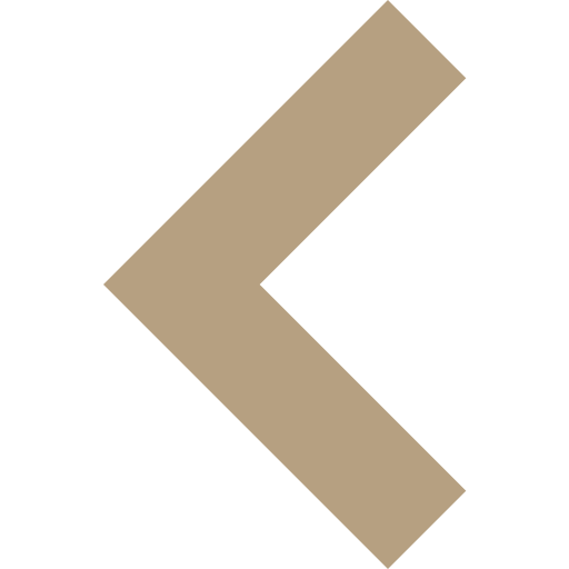 BIS Schools — Campus